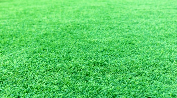 Kunstgras leggen voor beginners kunstgras