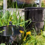 Een regenton in je tuin? Dit zijn alle voordelen! regenton in de tuin