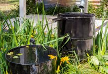 Een regenton in je tuin? Dit zijn alle voordelen! regenton in de tuin