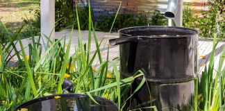 Een regenton in je tuin? Dit zijn alle voordelen! regenton in de tuin