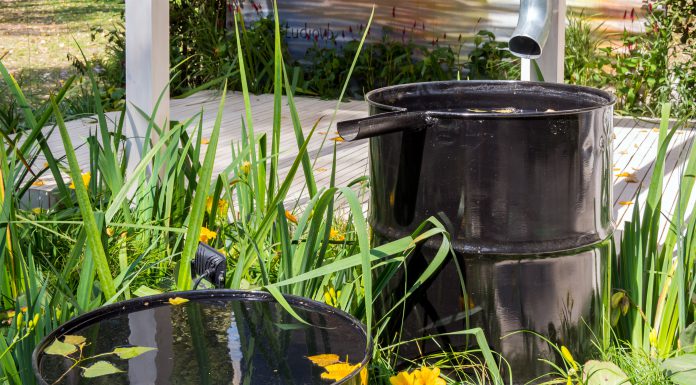 Een regenton in je tuin? Dit zijn alle voordelen! regenton in de tuin