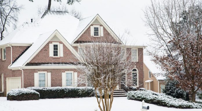 Genieten van je tuin in de herfst en winter