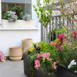 Kleur in je tuin met bloembakken bloembakken