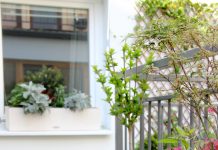 Kleur in je tuin met bloembakken bloembakken