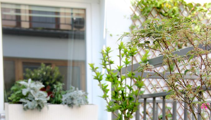 Kleur in je tuin met bloembakken bloembakken