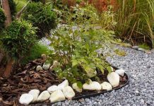 Ardennersplit voor een praktische en onderhoudsvrije tuin ardenner split in de tuin