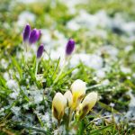 Je tuin voor de winter onderhouden Depositphotos_22403863_S