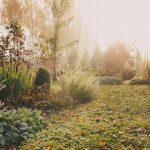 Pak jouw tuin aan in de wintermaanden  tuin in de winter (2)