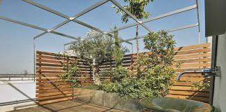 Maak van je terras een groen paradijs met plantenbakken plantenbak terras